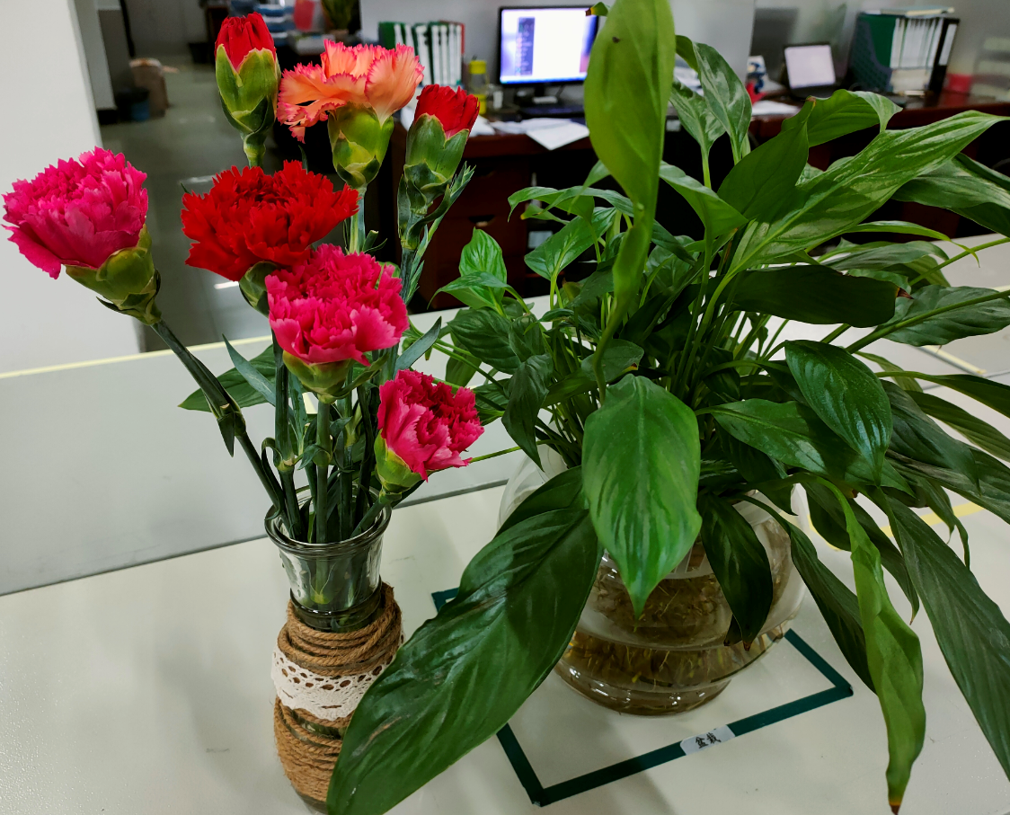 welcometoӭ�ӻ���888����(�й�)���޹�˾